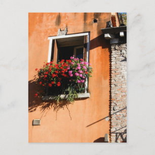 Window-Blume Postkarte