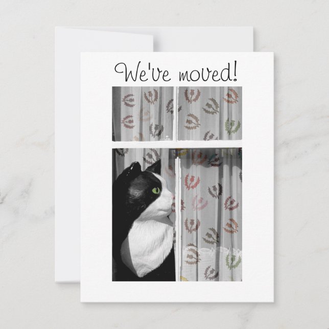 Window Cat New Zuhause Announccard Ankündigung (Vorderseite)