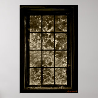 Window IV Sepia, Jeffrey Sinnock Poster