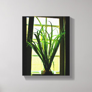Window-Pflanze Leinwanddruck