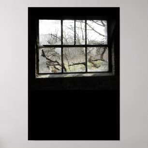 Window Watchin Poster