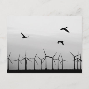 Windpark und Vögel Postkarte