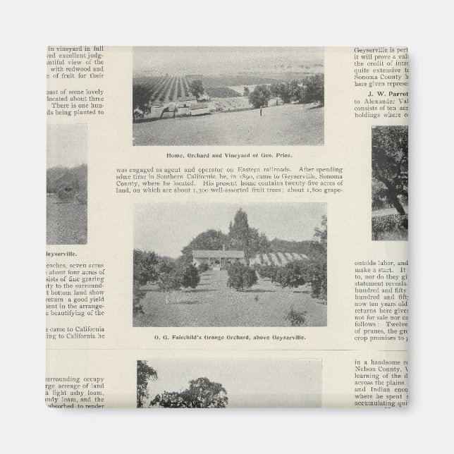 Windsor, Kalifornien Magnet (Vorne)