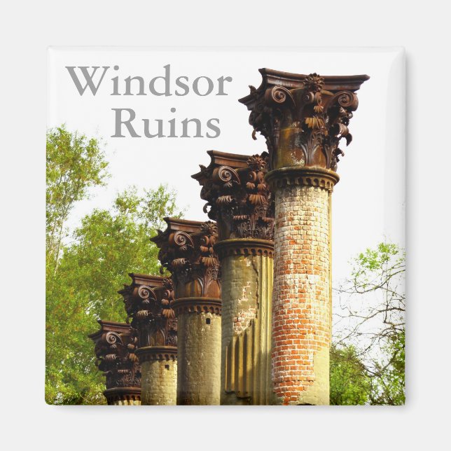 Windsor Ruins Mississippi Kühlschrank Magnet (Vorne)