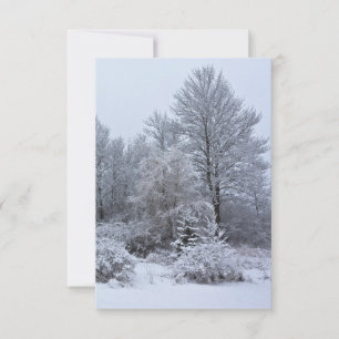 Windsor Winter White Christmas Einladung