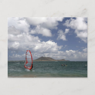 Windsurfen in Hawaii Postkarte