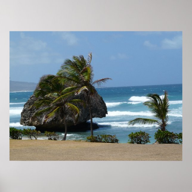 WindSwept Poster (Vorne)