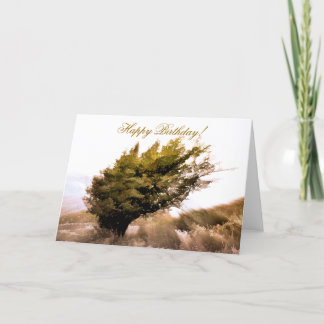 WINDSWEPT TREE KARTE