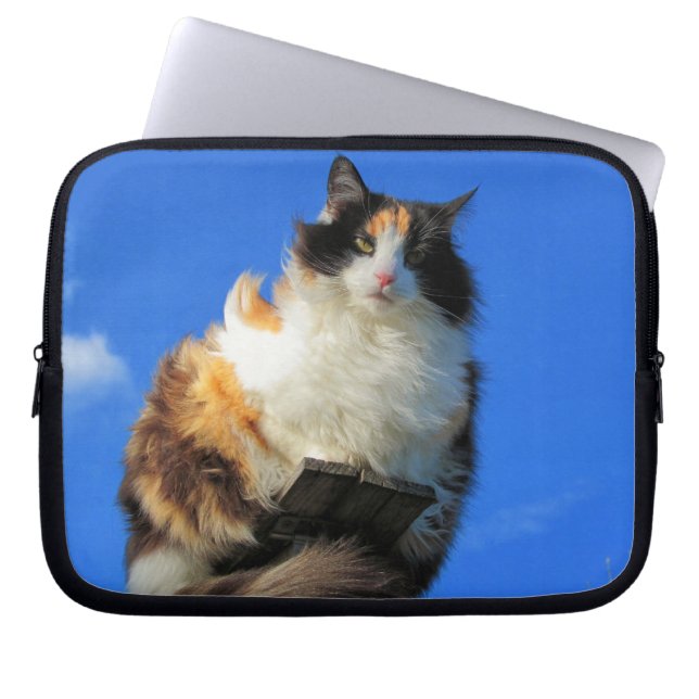 Windy Calico Cat Up High Laptopschutzhülle (Vorderseite)