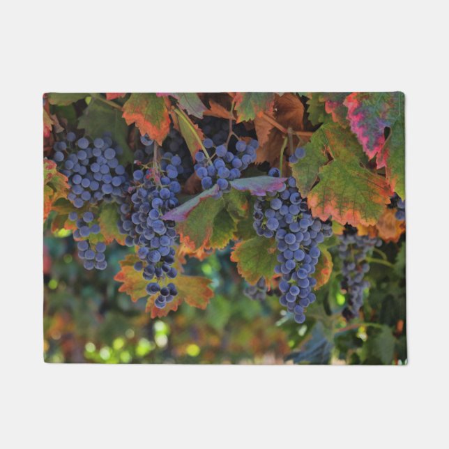Wine Country Door Mat Fußmatte (Vorderseite)
