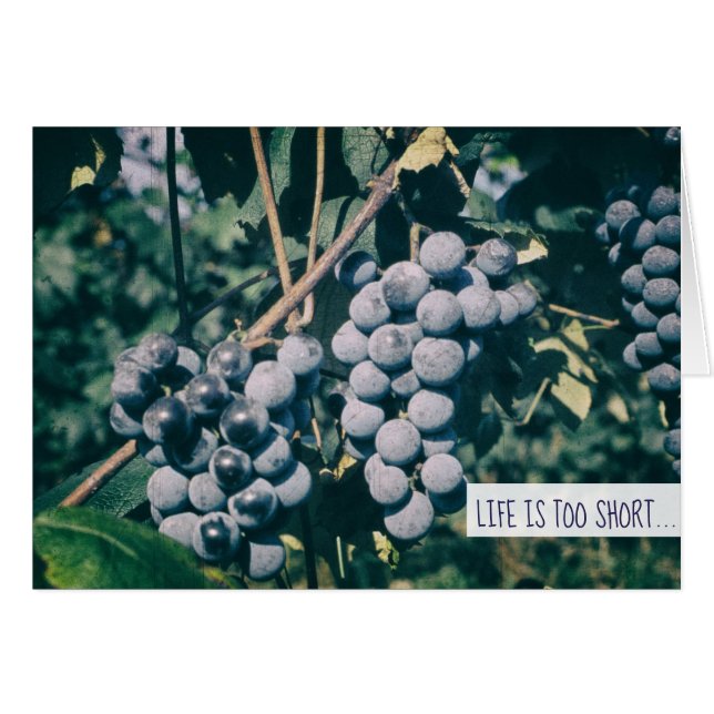 Wine Purple Grapes Harvest Grape on the Vine (Vorderseite (Horizontal))