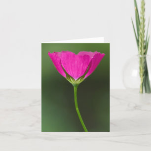Winecup Wildblume Notecards Karte