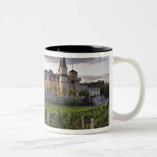 Winery-Gebäude vom Weinberg aus gesehen bei Zweifarbige Tasse