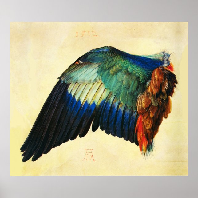 WING AN EUROPEAN ROLLER Durer Poster (Vorne)