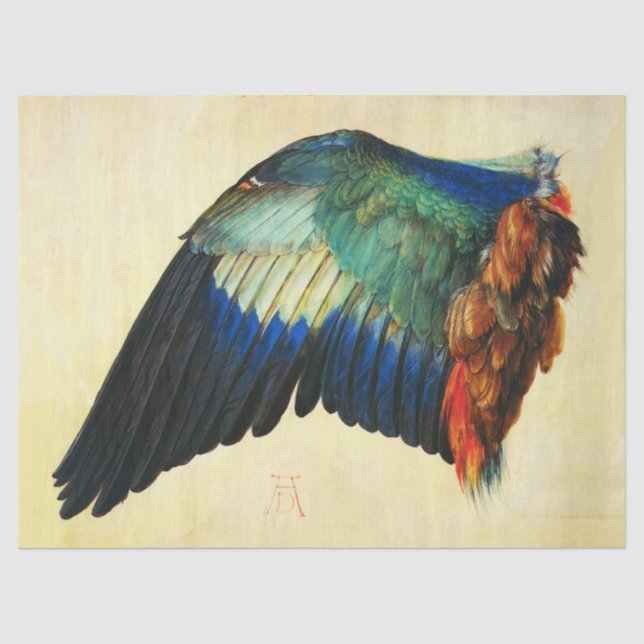 WING AN EUROPEAN ROLLER Durer Seidenpapier (Vorderseite)