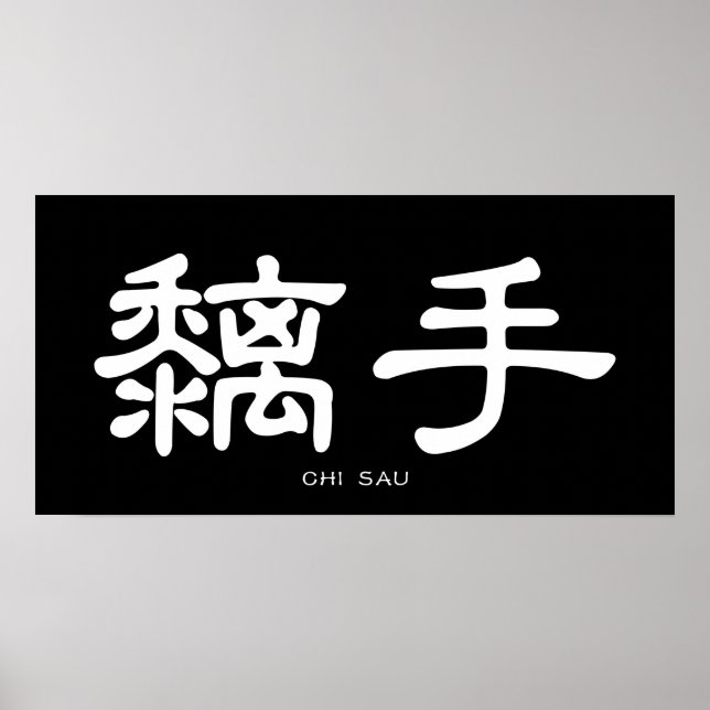 Wing Chun Chi Sau White Chinese Calligraphy Poster (Vorne)