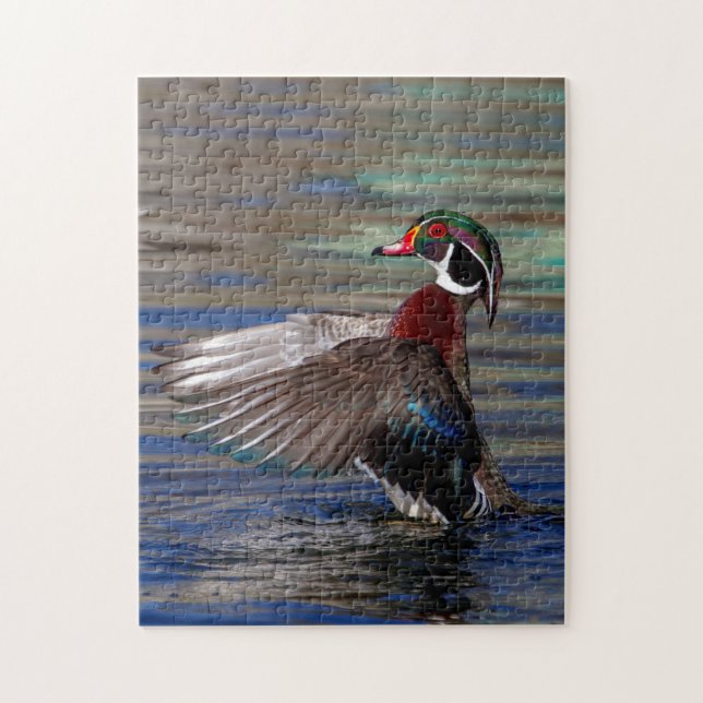 Wing Flapping Wood Duck (Vertikal)