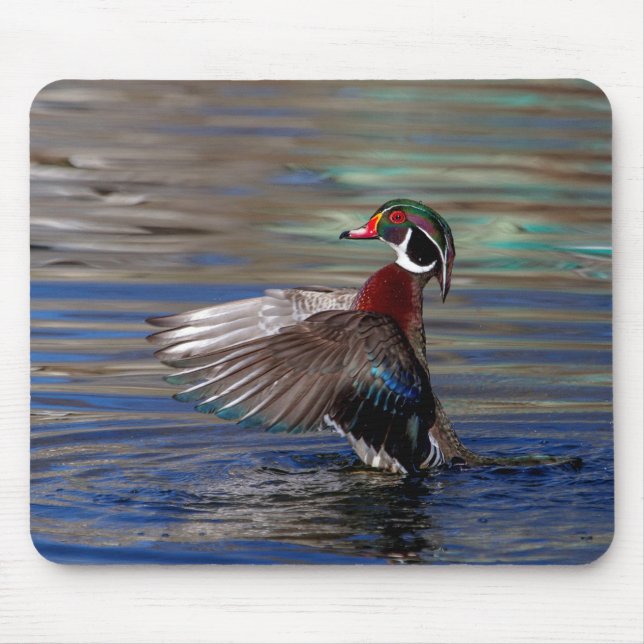 Wing Flapping Wood Duck Mousepad (Vorne)