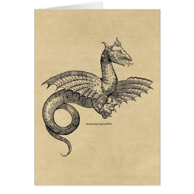 Winged Dragon (Vorne)