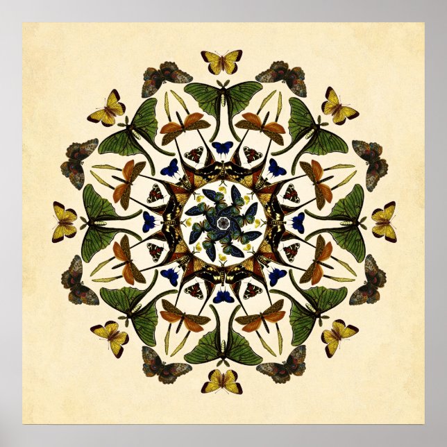 Winged Earth Butterfly Kaleidoskop Art Poster (Vorne)