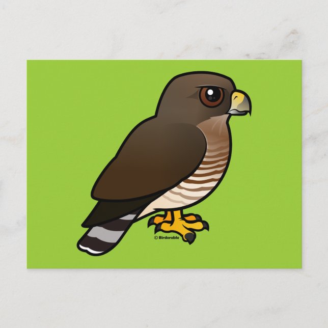 Winged Hawk Postkarte (Vorderseite)