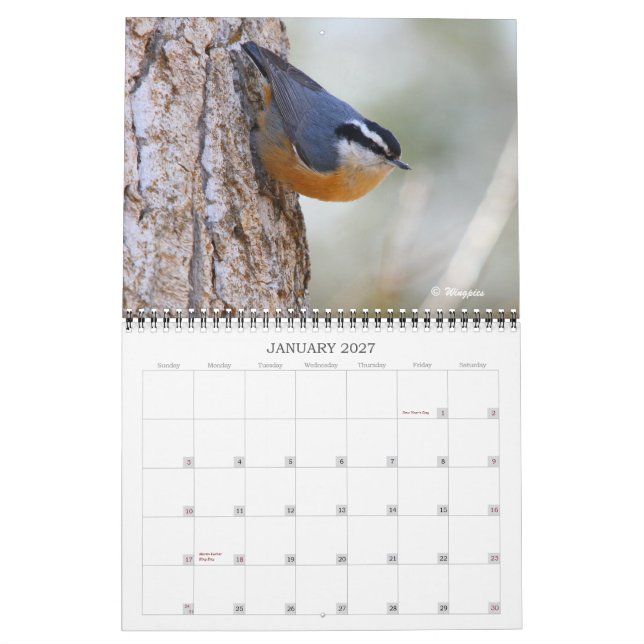 Wingpics Lied-Vogel-Kalender 2012 Kalender (Jan 2027)