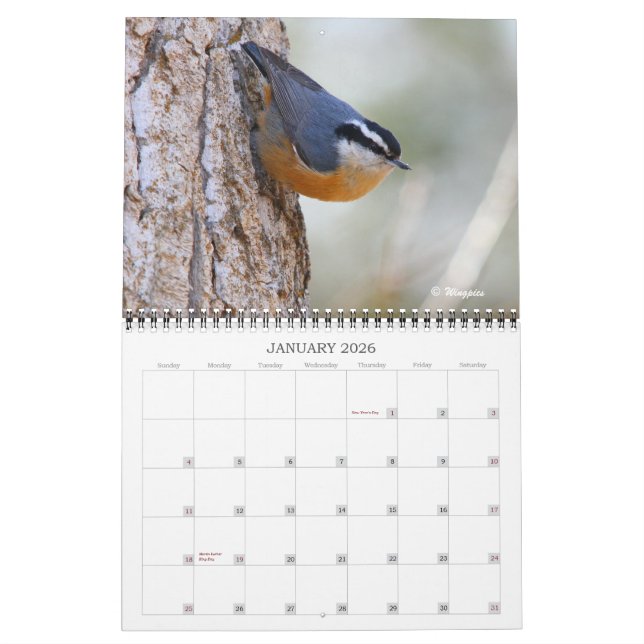 Wingpics Lied-Vogel-Kalender 2012 Kalender (Jan 2026)