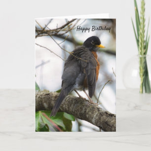 Wings American Robin Carte de voeux Anniversaire