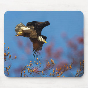 Wingshadow Mousepad