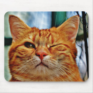 Wink kitty mousepad