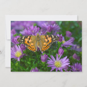 Winkel-Schmetterling auf Kegelblume Dankeskarte