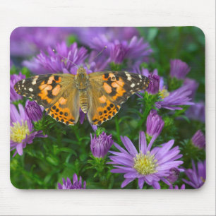 Winkelflügel-Schmetterling auf Kegelblume Mousepad