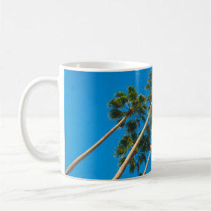 Winkelperspektive der Gruppe hoher, dünner Palmen Kaffeetasse