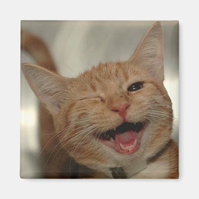 Winking Happy Ginger Cat Magnet (Vorne)
