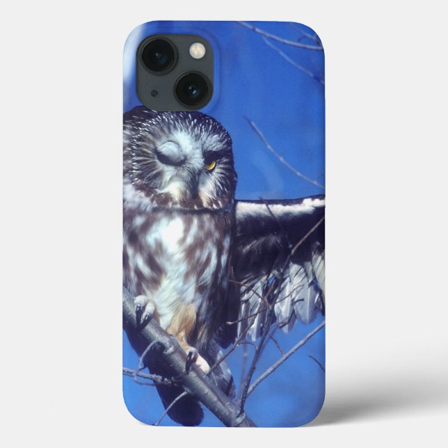 Winking owl Case-Mate iPhone hülle (Rückseite)