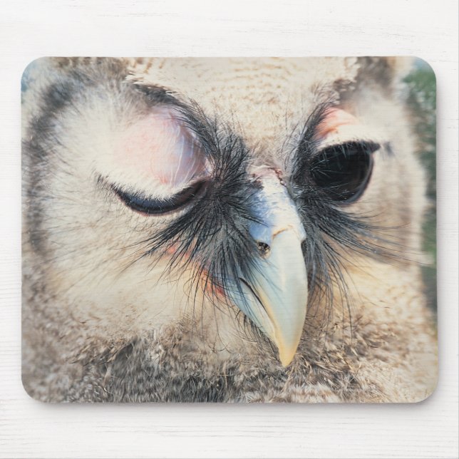 Winking Owl Mousepad (Vorne)