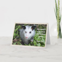 Winking possum danke Karte.