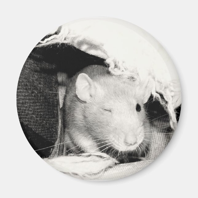 Winking Rat Magnet (Vorne)