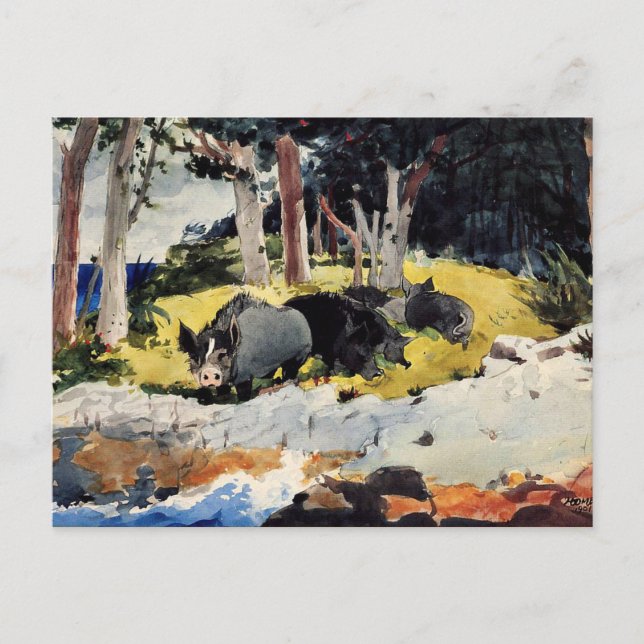 Winslow Homer - Bermuda Settlers Postkarte (Vorderseite)