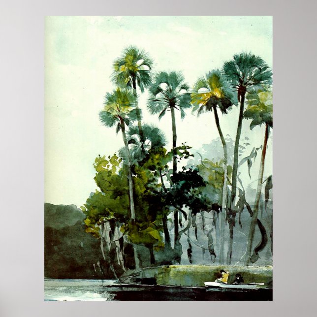 Winslow Homer - Homosassa River Poster (Vorne)