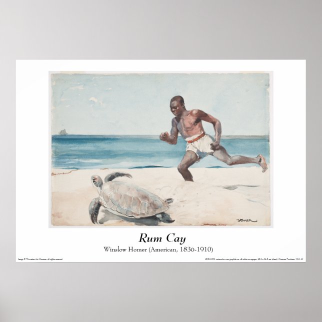 Winslow Homer - Poster "Rum Cay" (Devant)