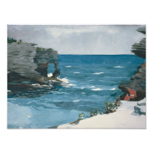 Winslow Homer - Rocky Shore, Bermuda Fotodruck