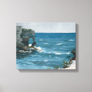 Winslow Homer - Rocky Shore, Bermuda Leinwanddruck