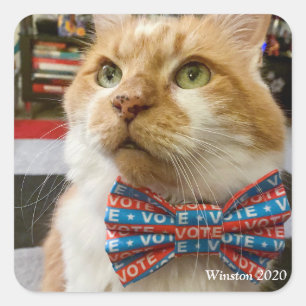 Winston 2020 quadratischer aufkleber