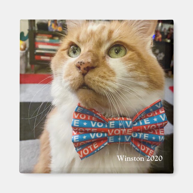 Winston Magnet (Vorne)