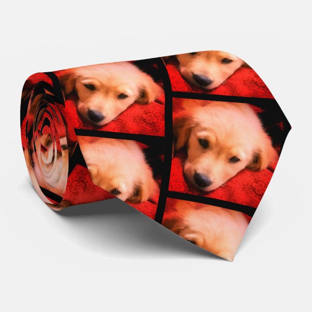 Winston the Golden, Holiday Krawatte (Gerollt)