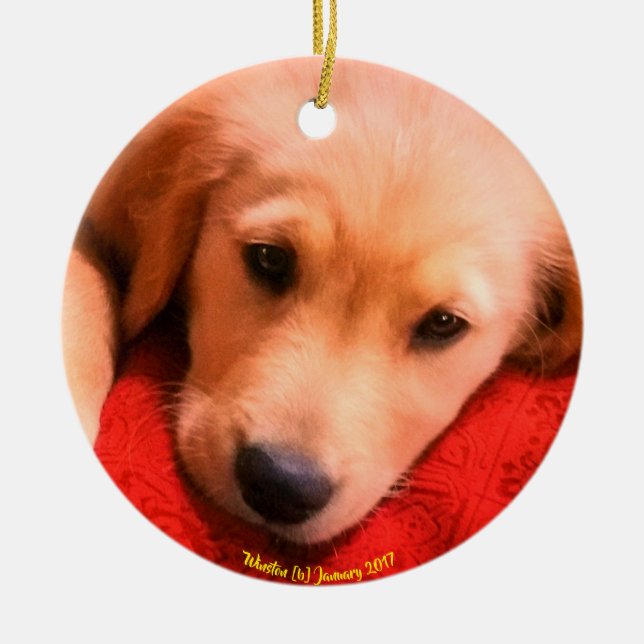 Winston Weihnachtsverzierung Keramik Ornament (Vorne)