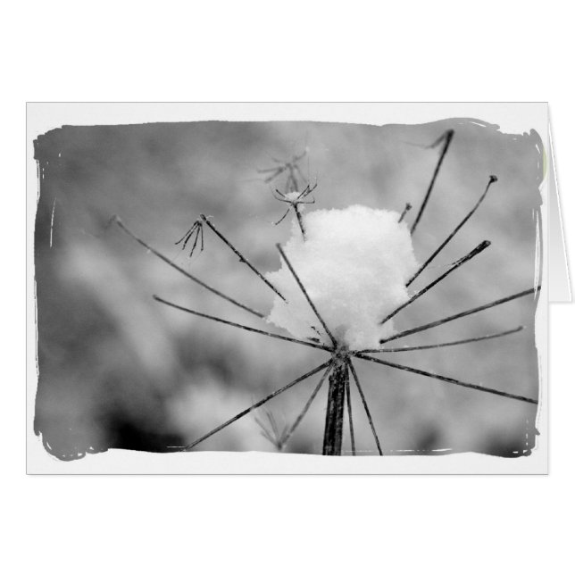 Winter (Vorderseite (Horizontal))