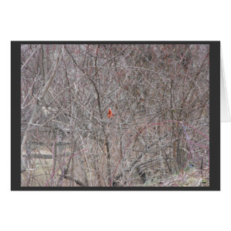 Winter ~ 14