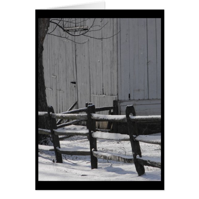 Winter ~ 1,5 (Vorne)